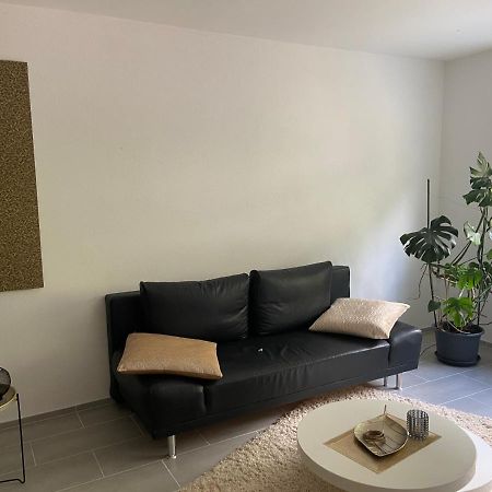 City Apartment #2 Bei Der Porzellan Manufaktur Meißen Eksteriør billede